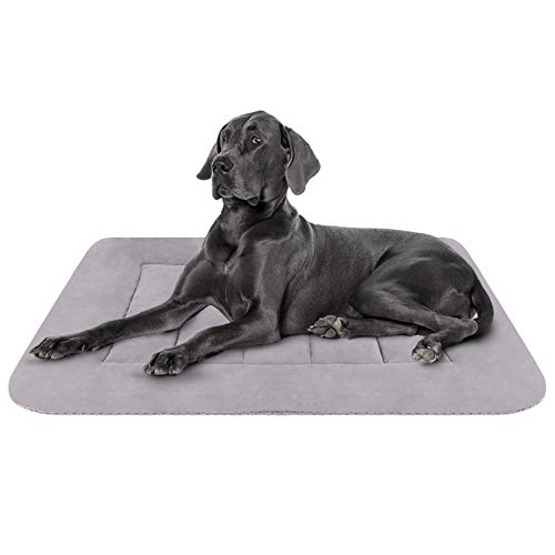Hero Dog Colchoneta Medio Suave para Perros - 100% Lavable A Máquina, Colchón Antideslizante De Gris L Hero Dog Colchoneta Medio Suave para Perros - 100% Lavable A Máquina, Colchón Antideslizante De Gris L