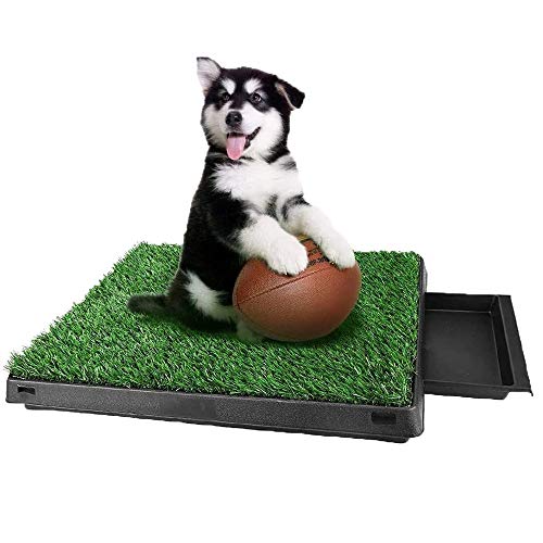 Inodoro para Mascotas portátil con césped Artificial Perro Césped Interior Orinal Perro Almohadilla de Entrenamiento de Hierba para Animal Doméstico, 63 x 50 x 7 cm Inodoro para Mascotas portátil con césped Artificial Perro Césped Interior Orinal Perro Almohadilla de Entrenamiento de Hierba para Animal Doméstico, 63 x 50 x 7 cm