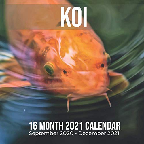 Koi 16 Month 2021 Calendar September 2020-December 2021: Japanese Carp Fish Square Photo Book Monthly Pages 8.5 x 8.5 Inch