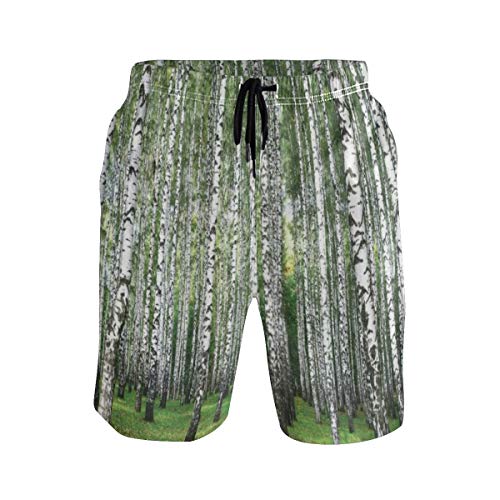 LISNIANY Bañador Hombre,Casa de Campo Árboles de otoño en el Bosque de abedules Hora de septiembre Ver Imagen,Natación Secado Rápido Malla Pantalones Imprimiendo Cortos(L) LISNIANY Bañador Hombre,Casa de Campo Árboles de otoño en el Bosque de abedules Hora de septiembre Ver Imagen,Natación Secado Rápido Malla Pantalones Imprimiendo Cortos(L)