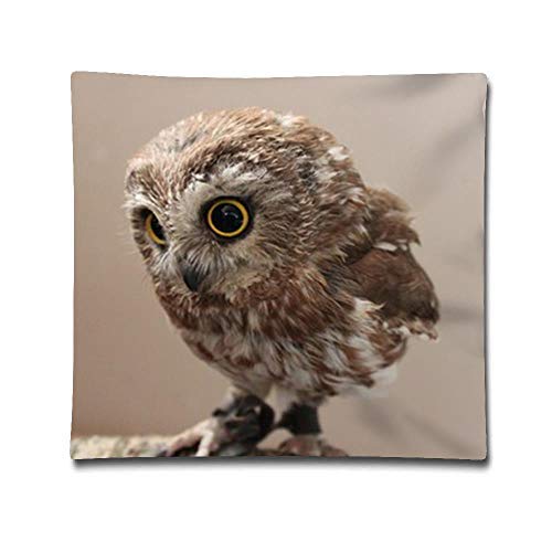 No Marca Little Owl - Funda de cojín Cuadrada de Lino y algodón de 45,7 x 45,7 cm, diseño de búho