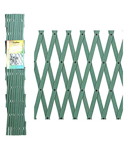 PAPILLON 8091545 Celosia PVC Verde Extensible 3x1 Metros, 3x1m