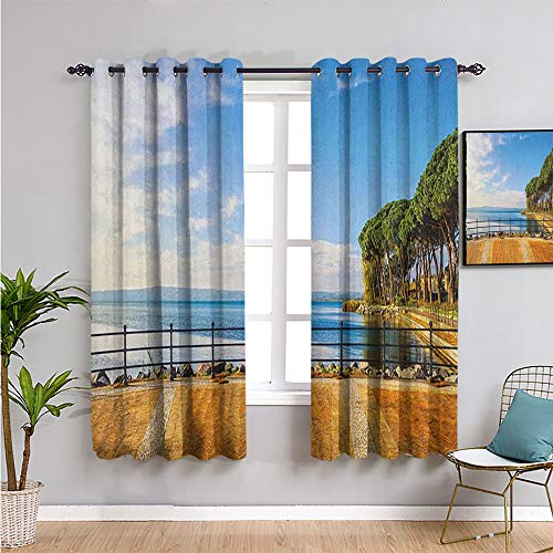 Pcglvie Cortina italiana de cocina, cortinas de 160 cm de longitud, terraza paseo marítimo balcón y pinos en bolsena lago italiana impresión Trae belleza azul y marrón pálido 42 x 63 pulgadas