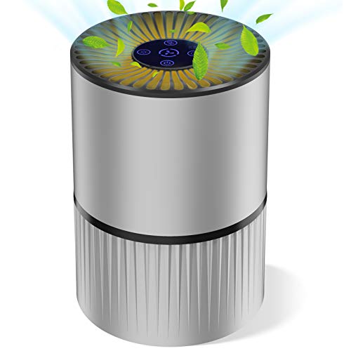 Purificador de Aire para Hogar Oficina 4 en 1 Filtro HEPA Carbón Activado,con Purificación de Iones Negativos, Aromaterapia, Luz Nocturna y Temporización para Mascotas/Humo/Gérmenes/Polvo (Gris) Purificador de Aire para Hogar Oficina 4 en 1 Filtro HEPA Carbón Activado,con Purificación de Iones Negativos, Aromaterapia, Luz Nocturna y Temporización para Mascotas/Humo/Gérmenes/Polvo (Gris)