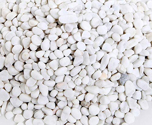 Ruiuzioong - Piedras decorativas, cantos rodados, pulidas, 0,9 kg, piedras de colores surtidos, naturales, pequeñas piedras decorativas de río Ruiuzioong - Piedras decorativas, cantos rodados, pulidas, 0,9 kg, piedras de colores surtidos, naturales, pequeñas piedras decorativas de río