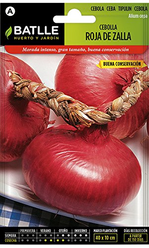 Semillas Hortícolas - Cebolla Roja de Zalla (tipo Niort) - Batlle