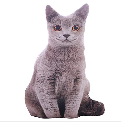 Sobotoo Cojín 3D realista de gato de 50 cm cojín de peluche animal almohada sofá silla cojines de felpa suave muñecas para decoración del hogar, regalo para niños (A)