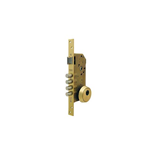 Tesa Assa Abloy R200B566L Cerradura De Seguridad Monopunto Con Cilindro T60, Acero Inoxidable Tesa Assa Abloy R200B566L Cerradura De Seguridad Monopunto Con Cilindro T60, Acero Inoxidable