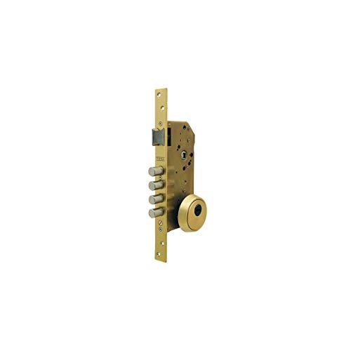 Tesa Assa Abloy R200B566L Cerradura De Seguridad Monopunto Con Cilindro T60, Acero Inoxidable