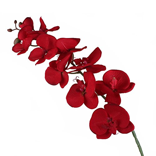 Yalulu 2 orquídeas artificiales de simulación de mariposas y orquídeas, flores para boda, casa, fiesta, decoración del hogar (rojo)