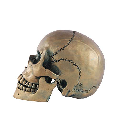 ZTTT Golden Skull Head Resin Crafts Decoración del hogar Ornamento del Acuario Personalizado Decoración de Escritorio Chimenea Loft Crafts (Color : Golden)