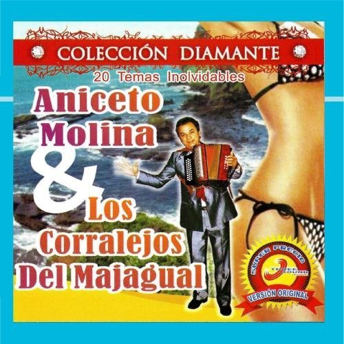 20 Temas Inolvidables by Aniceto Molina & Los Corralejos Del Madrigal
