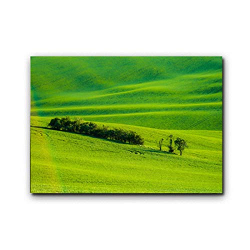 Amplio Campo de Trigo Verde Paisaje Arte de la Pared Pinturas en Lienzo Cuadros de Pared Impresiones y Carteles Sala de Estar decoración del hogar 23.6x31.5in (60x80cm) x1 pcs SIN Marco