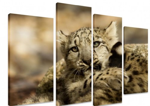 Art Depot Outlet - Lienzo de 4 paneles con imagen de cría de leopardo (101 x 71 cm)