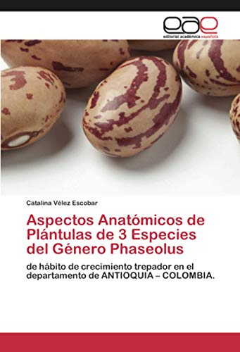 Aspectos Anatómicos de Plántulas de 3 Especies del Género Phaseolus: de hábito de crecimiento trepador en el departamento de ANTIOQUIA – COLOMBIA.