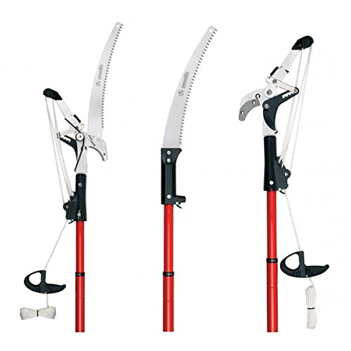 Ausonia - 35053 PODADERA DE PÉRTIGA PROFESIONAL CON CORTE DE CARRACA CON PÉRTIGA TELESCÓPICA DE 3 METROS CON JUNTA RÁPIDA Q-NECK Y CUERDA DOBLE CON MANGO DE PLÁSTICO AJUSTABLE. SIERRA DE 35 CM PARA EL CORTE DE LAS RAMAS MÁS GRANDES. Ausonia - 35053 PODADERA DE PÉRTIGA PROFESIONAL CON CORTE DE CARRACA CON PÉRTIGA TELESCÓPICA DE 3 METROS CON JUNTA RÁPIDA Q-NECK Y CUERDA DOBLE CON MANGO DE PLÁSTICO AJUSTABLE. SIERRA DE 35 CM PARA EL CORTE DE LAS RAMAS MÁS GRANDES.