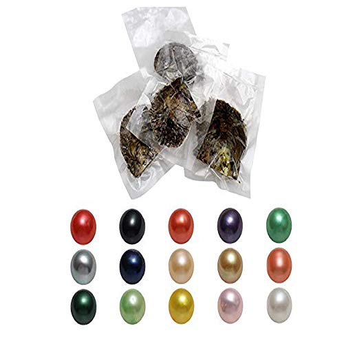 AYES Ostras con perla en el interior Akoya cultivada perla de mar ostra amor deseos perla ostra 7 – 8 mm, 50 unidades para mujer