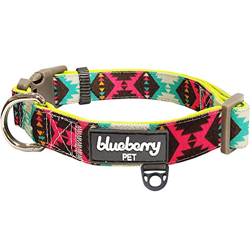 Blueberry Pet Soft & Comfy Vintage Tribal Pattern Adjustable Neoprene Padded Dog Collar in Extravagant Green, Small