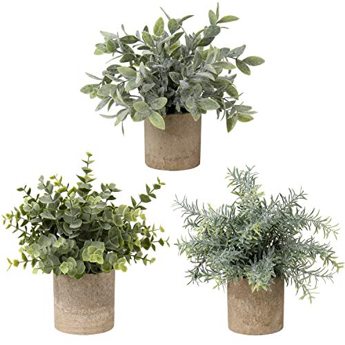 Briful Mini planta artificial en maceta de eucalipto flocado flocado, plantas de romero, pequeñas plantas de interior, decoración para el hogar, mesa, escritorio, cocina, dormitorio, juego de 3