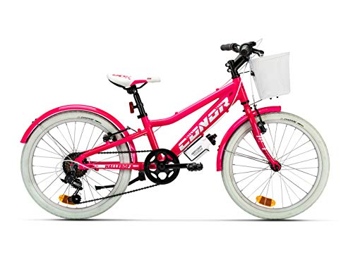 Conor Bicicleta HALEBOB Rosa. Bicicleta Infantil de Cuatro Ruedas. Bici para niños y/o niñas de 6 a 8 años. Bike con Ruedas de Entrenamiento, ruedines. Cuadro de Acero 20 Pulgadas.