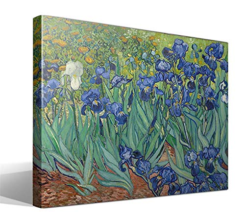 Cuadro Canvas Iris de Vincent Willem Van Gogh