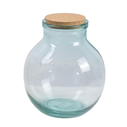 Damajuana de Vidrio de Boca Ancha en Diferentes tamañosC (4L) Damajuana de Vidrio de Boca Ancha en Diferentes tamañosC (4L)