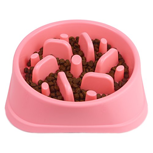 Decyam Comedero Perro Gato, Antideslizante Alimentacion Plato alimentador Tazon Comedero para Mascotas Bebedero Cuenco Bol Recipiente Decyam Comedero Perro Gato, Antideslizante Alimentacion Plato alimentador Tazon Comedero para Mascotas Bebedero Cuenco Bol Recipiente