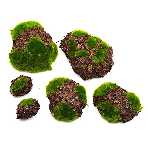 DIYARTS 6 Piezas Espuma de Musgo Verde Piedra Falsa Artificial para Decoración del Hogar Mesa de Comedor Jardín Hogar Paisaje DIYARTS 6 Piezas Espuma de Musgo Verde Piedra Falsa Artificial para Decoración del Hogar Mesa de Comedor Jardín Hogar Paisaje