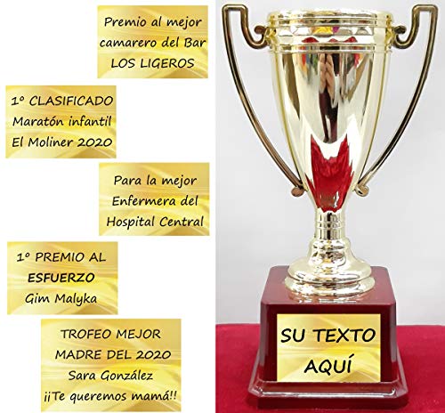 dolarestore Copa Trofeo con Textos Personalizados Especial para Regalo Base imitación Madera 13x20cm