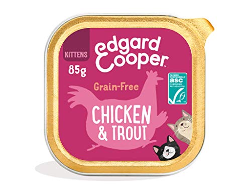 Edgard & Cooper Comida humeda Gatos Kitten sin Cereales, Natural con Pollo Fresco y Truchas con certificación ASC. Comida Sana Rica en nutrientes y antioxidantes Naturales. Pack tarrinas de 19x85gr