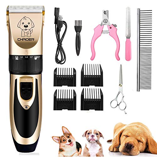 Eyeleaf Cortapelo para Perro - Recargable Profesional Cortapelos para Mascotas Perros Gatos, Bajo Ruido y Vibración, Set Máquina Cortar Pelo Perros Inalámbrico con Cable USB, Tijeras y 4 Guías Peine Eyeleaf Cortapelo para Perro - Recargable Profesional Cortapelos para Mascotas Perros Gatos, Bajo Ruido y Vibración, Set Máquina Cortar Pelo Perros Inalámbrico con Cable USB, Tijeras y 4 Guías Peine