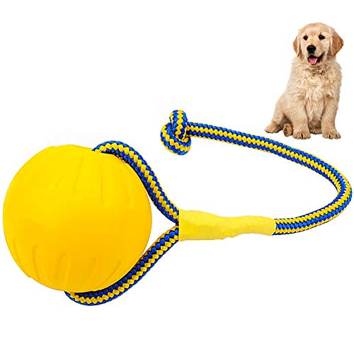 FANDE Bolas para Perros, Pelota para Perros con Cuerda, Pelota para Mordedura de Molar para Mascotas, 7 CM, Indestructible, para Perros y Gatos (Amarillo) FANDE Bolas para Perros, Pelota para Perros con Cuerda, Pelota para Mordedura de Molar para Mascotas, 7 CM, Indestructible, para Perros y Gatos (Amarillo)