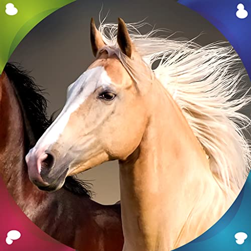 Imágenes de Horse Live Imágenes de Horse Live