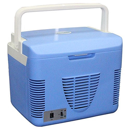 JCOCO Refrigerador del coche 10L y hogar Refrigerador horizontal refrigerado del refrigerador del hogar del Doble-uso 12V / 24v General 220V (color : 12v+220v)