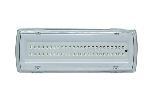 Lámpara de techo de emergencia de 50 LED con potencia de 4 W, flujo luminoso de 406 lm y posibilidad de montaje en pared, 91062