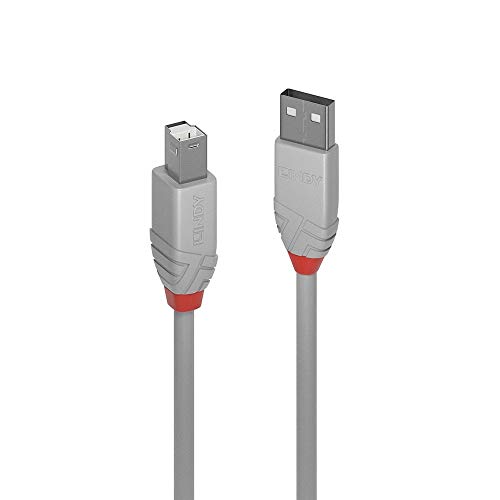 Lindy 36681 - Cable USB 2.0 (tipo A a B, 0,5 m), color gris