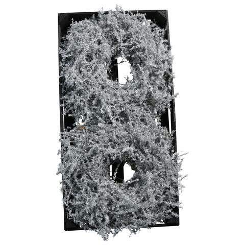 Maravillosa corona de Asparagus encerada – Corona de puerta natural Navidad – Decoración de pared/corona de Navidad/encerada colgante/corona de mesa/corona de asparago, plata, Ø 25cm (2 Stück)