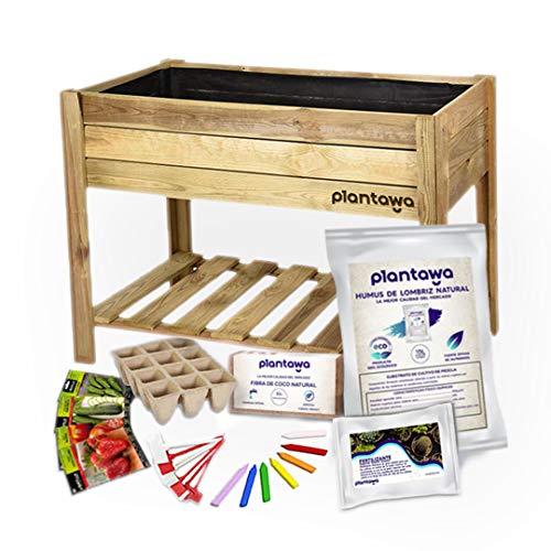 PLANTAWA Kit Cultivo Completo XL, Kit de Cultivo en Casa, Uso de Huerto Urbano, Mesa de Cultivo, Madera Natural