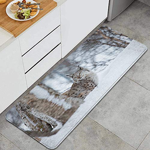 QINCO Anti Fatiga Cocina Alfombra del Piso,Un Lince Europeo en la Nieve el frío Invierno de febrero de Noruega,Antideslizante Acolchado Puerta Habitación Bañera Alfombra Almohadilla,120 x 45cm