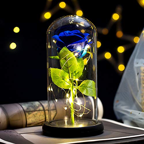 Rosa Bella y Bestia Flor Artificial con Luz LED Kit Rosa de Seda en Cúpula de Cristal Rosa Encantada Decoración Regalo para Día de San Valentín Aniversario Boda Cumpleaños (22*11.5CM, Flor Azul) Rosa Bella y Bestia Flor Artificial con Luz LED Kit Rosa de Seda en Cúpula de Cristal Rosa Encantada Decoración Regalo para Día de San Valentín Aniversario Boda Cumpleaños (22*11.5CM, Flor Azul)