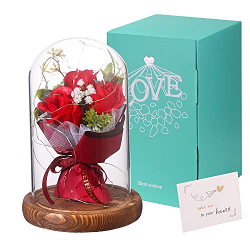 Rosa eterna en cúpula de cristal Rosa Bella y Bestia rosa preservada en cúpula modelo para Amor en el Día de San Valentín para Aniversario para Amigos como Un Regalo de Cumpleaños