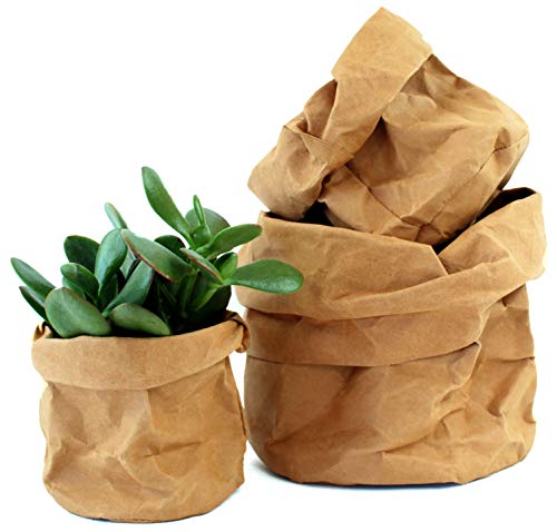 Set 3 Cestas de Papel Kraft Ecológicas - Maceteros Decorativos de Interior, Macetas y Cubremacetas - Almacenaje, Decoracion Hogar y Tiestos Plantas Set 3 Cestas de Papel Kraft Ecológicas - Maceteros Decorativos de Interior, Macetas y Cubremacetas - Almacenaje, Decoracion Hogar y Tiestos Plantas