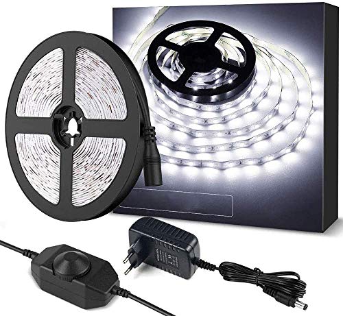 Tira de LED 5m, Tira Luz Regulable Blanca Fría 6000K, 300 LED SMD 2835, 12V Tiras Luces Autoadhesiva con Fuente de Alimentación y Interruptor, Flexible LED Strip para Habitación Armario Gabinete