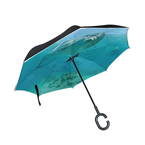 XiangHeFu Sombrillas invertidas de Doble Capa Océano Animal Dolphin Plegable A Prueba de Viento Protección UV Grande Recto para automóvil con Mango en Forma de C XiangHeFu Sombrillas invertidas de Doble Capa Océano Animal Dolphin Plegable A Prueba de Viento Protección UV Grande Recto para automóvil con Mango en Forma de C