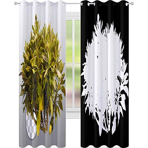 YUAZHOQI cortinas oscurecedoras planta en otoño aislado sobre un fondo transparente a través de un canal alfa de gran precisión muy alta 132 x 213 cm drapeado para sala de estar