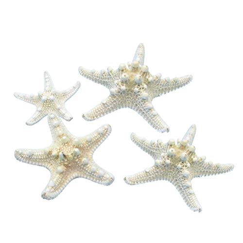 Amosfun 4pcs Conchas de Estrellas de Mar Naturales para Náutico Boda Decoraciones de Fiesta de Cumpleaños (5-8 cm)