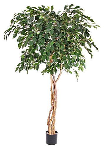 artplants.de Set de 2 x Ficus Benjamina Artificial Micah, Troncos Naturales, Verde, 180cm - Conjunto Laurel de India sintético - Pack árboles Falsos