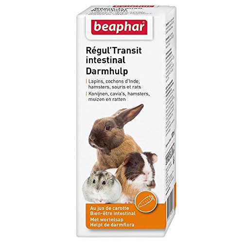 Beaphar – régul' Transit Especial higiene Digestive, Suplemento Dietético AU Zumo de Zanahoria – Ardilla y Conejo – 100 ml