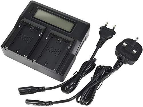DSTE DC167 Dual Battery Charger Compatible con Sony NP-FZ100 Battery Alpha 9, A9, Alpha 9R, A9R, Alpha 9S, a1