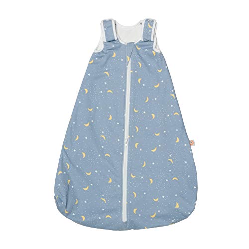 Ergobaby Saco Dormir Bebe Invierno 0-6 Meses Algodón Suave TOG 2.5 Niño Niña, Stellar Ergobaby Saco Dormir Bebe Invierno 0-6 Meses Algodón Suave TOG 2.5 Niño Niña, Stellar
